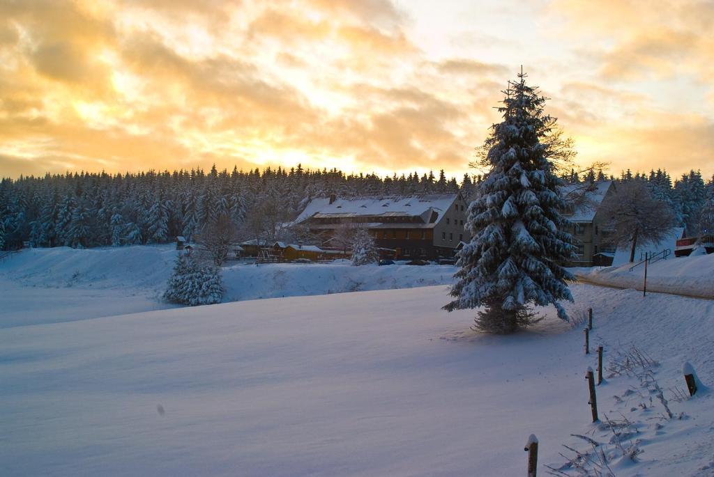 Hotel Zum Schneekopf "Garni" غيهلبرغ المظهر الخارجي الصورة