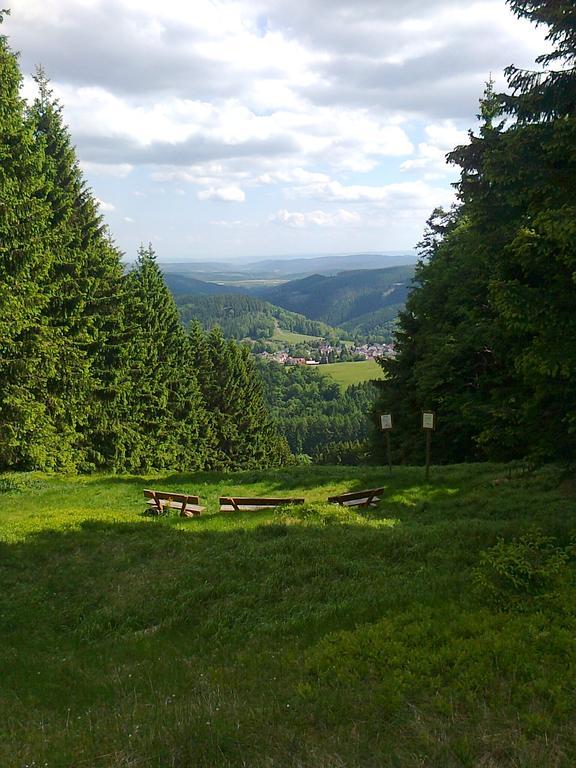 Hotel Zum Schneekopf "Garni" غيهلبرغ المظهر الخارجي الصورة